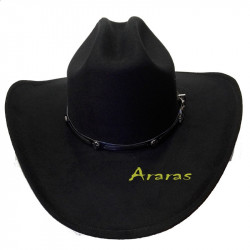 Sombrero Cowboy San Antony
