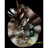 Tocado disco flor bronce en Araras